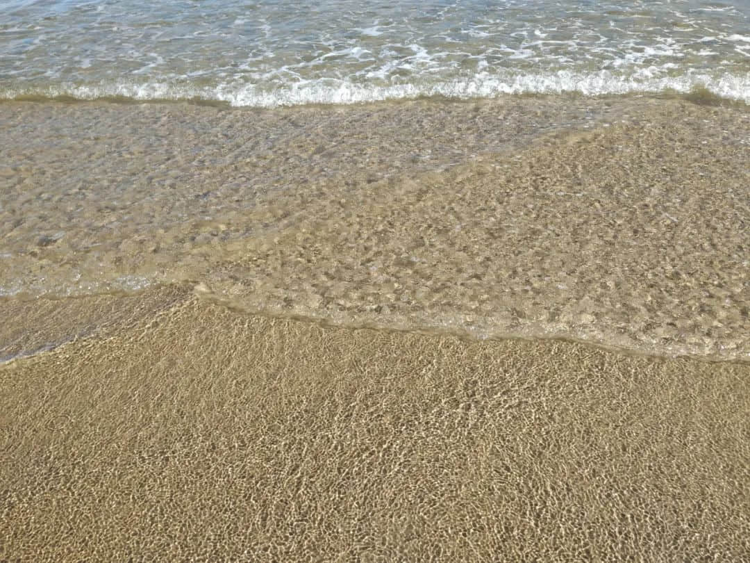 1654156116136378.jpg 640 (7).jpg