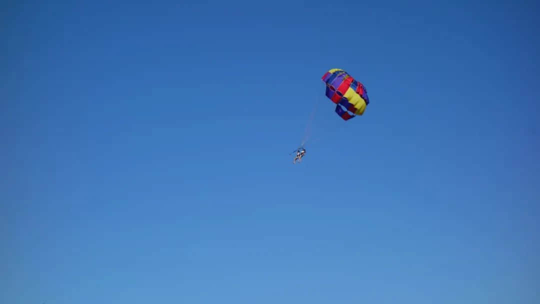 1654156125786951.jpg 640 (8).jpg