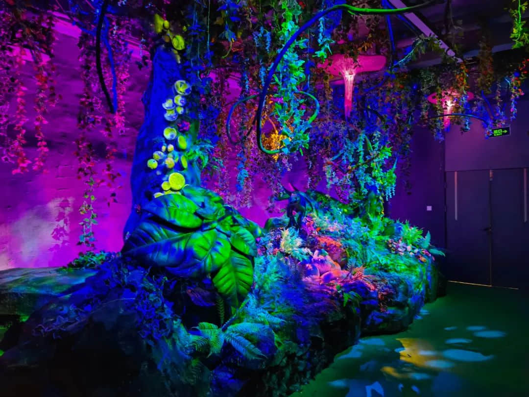 1665821330392645.jpg 640.jpg