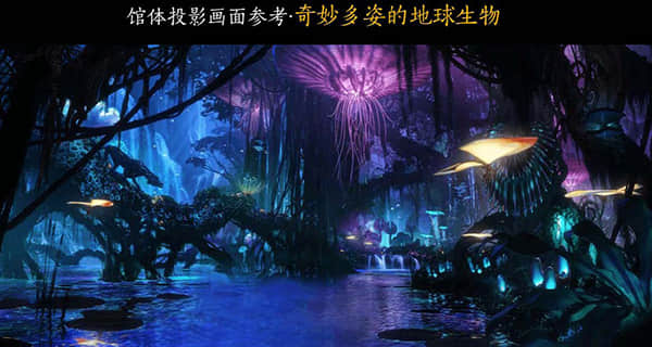 1679033183622701.jpg 5.jpg