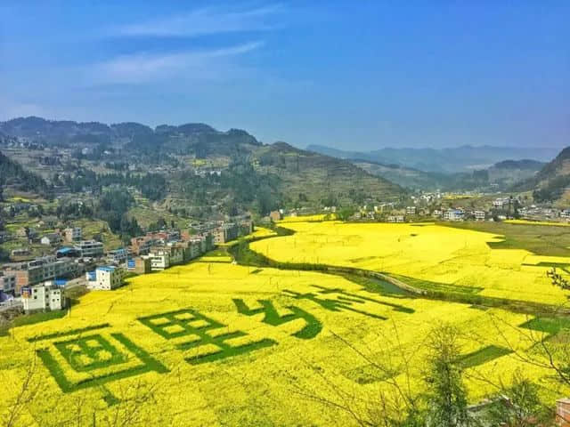 1721985549670649.jpg 640 (1).jpg